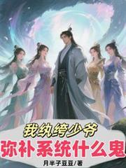 弥补系统什么鬼境界划分