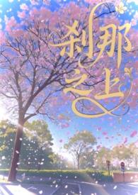 刹那中文版