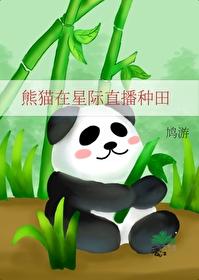 熊猫在星际直播种田(穿越重生)
