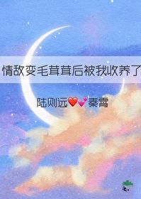 情敌成了我的猫