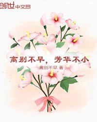 芳华不再的意思