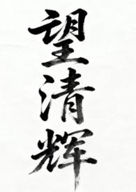 望清辉(女尊n)免费阅读无弹窗