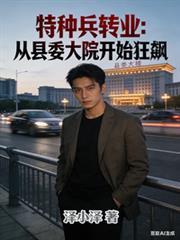 特种兵转业混官场主角姓王