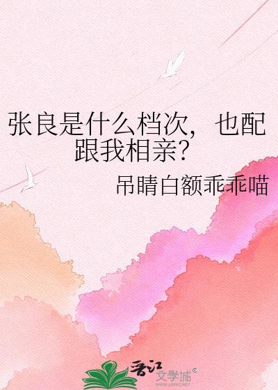 张良是做什么的
