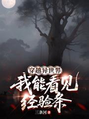 我能看见经验条