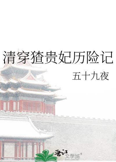 清穿贵妃奋斗记