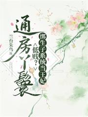 通房丫环的