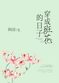 穿成班花的日子——阿淳