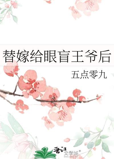 替嫁 王妃