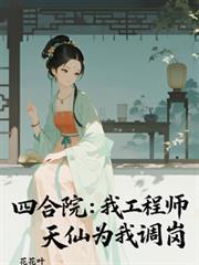 四合院之工程师
