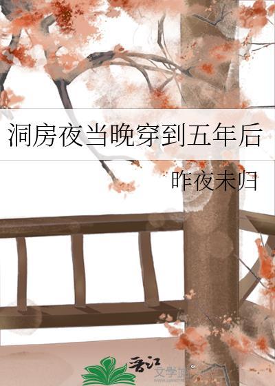 穿到洞房花烛夜之后吴下阿若