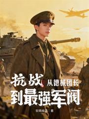 主角抗战全是德械装备的