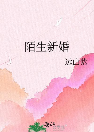 陌生人结婚