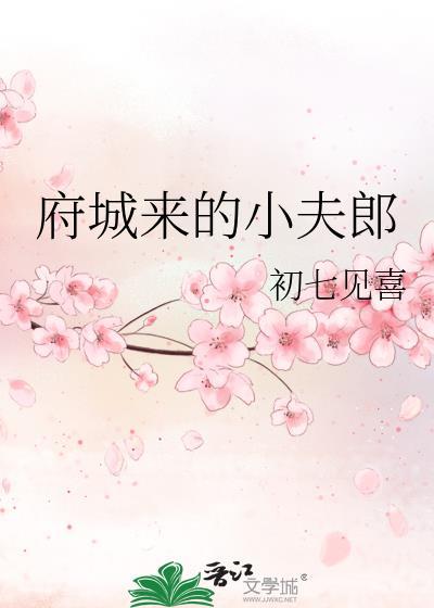 府城来的小夫郎 百度