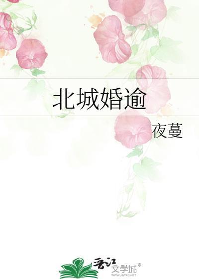 北城婚逾全文免费阅读
