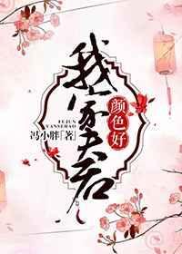 我家夫君不好惹全文阅读
