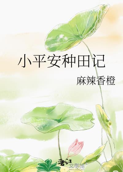 小平安种田记晋江