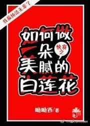 如何做一朵美腻的白莲花已阅