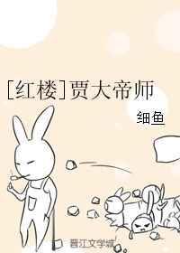 贾大帝师全本TXT