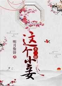 这个小妾不一般评论